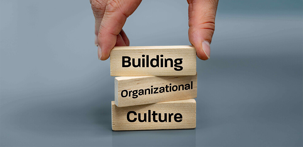 building organisational culture