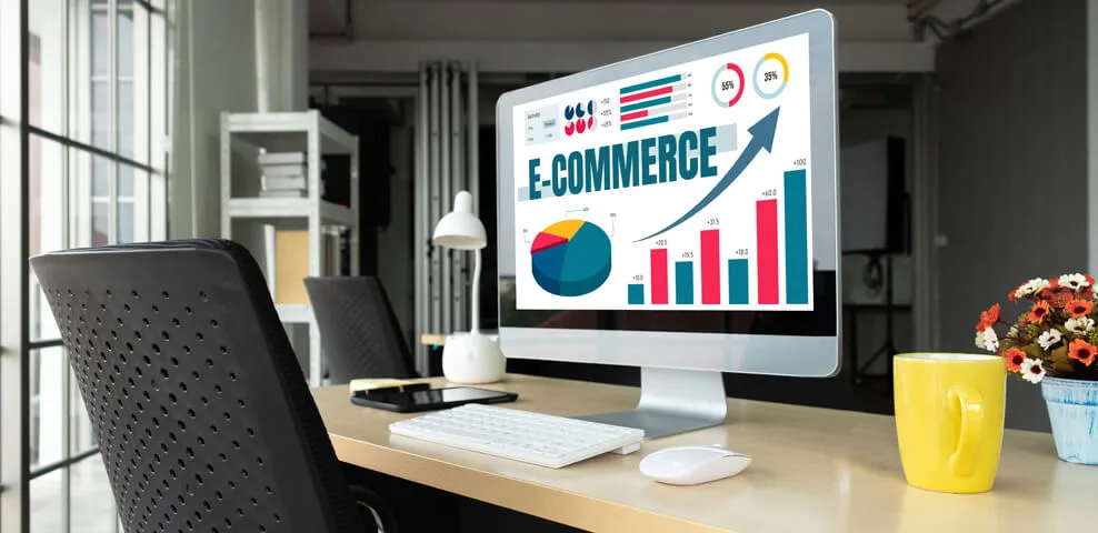 E-commerce Website Design Company in India